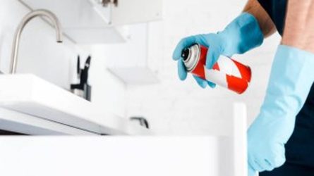 Pest Control Sydney: How to Prevent Pest Infestations in Healthcare Facilities