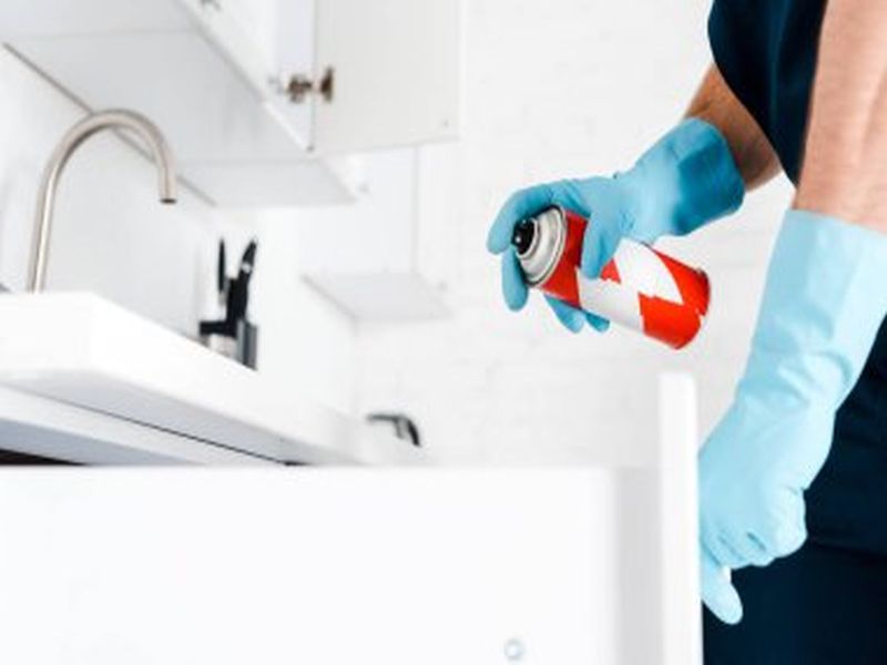 Pest Control Sydney: How to Prevent Pest Infestations in Healthcare Facilities