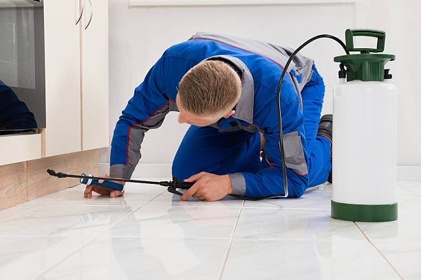 Safe and Effective Pest Control Solutions in Orem UT